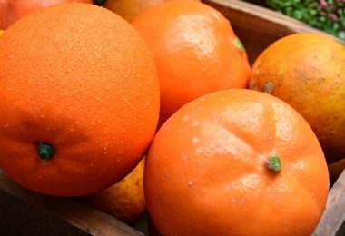 Al Het Goede van Fel Oranje Etenswaren!