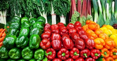 Heb Jij Je Gezondheid Verwaarloosd?