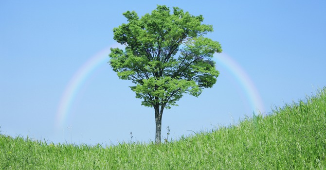 Wat je Moet Weten Over “Ecovriendelijke” Etiketten